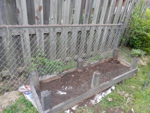 The second raised bed, with tomatoes, peppers, and cucumbers planted today