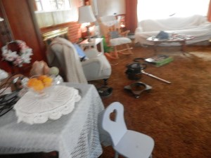 The Vacuum Stayed out for an "Excuse," I am embarrassed to say!