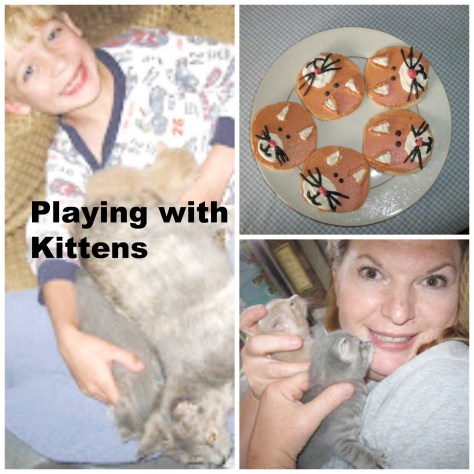kittens