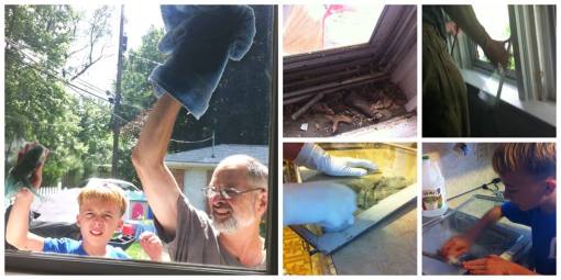 11403338_881453828603827_4070901879676284924_n