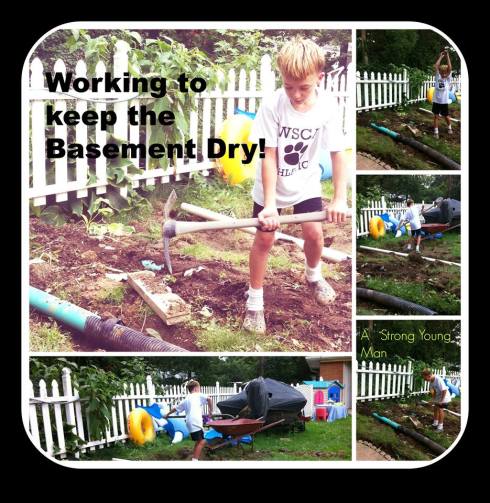 11403338_881453831937160_4930066975589425707_n