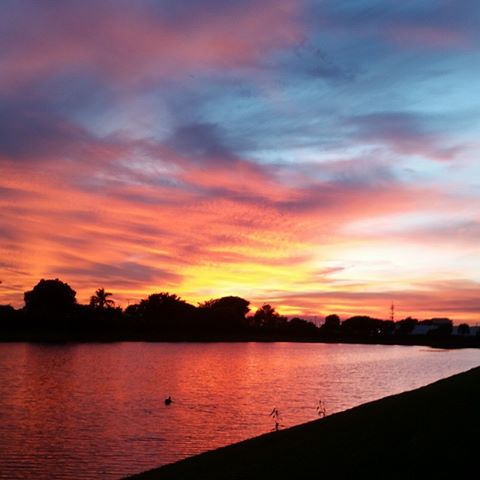 10403382_10153042619673841_7181244106358221466_n