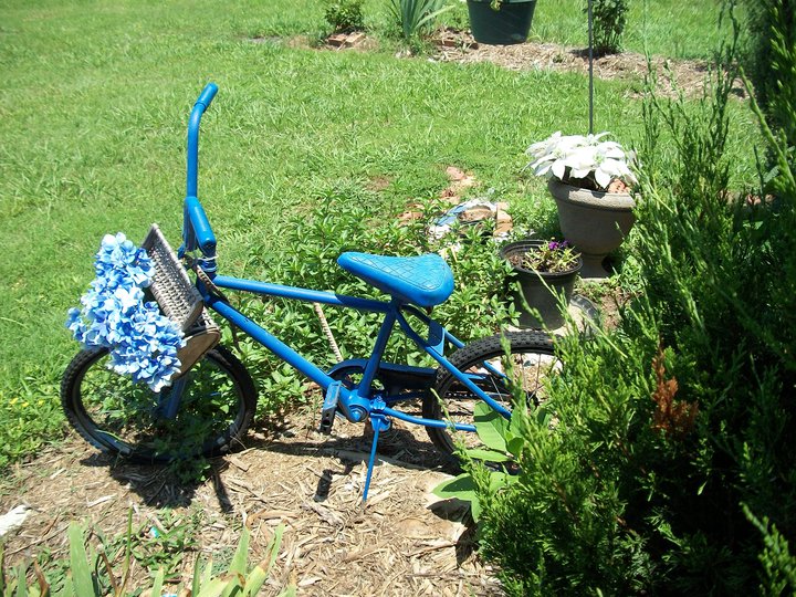 blue bike