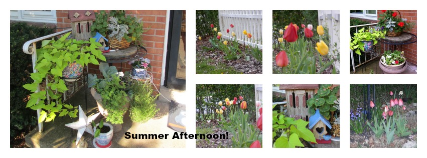 PicMonkey Collage summer afternoon