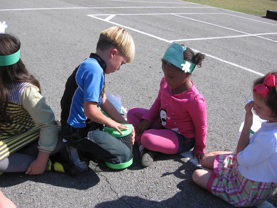 frog harch 1st grade