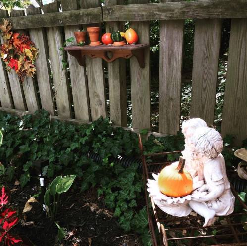 our back garden in autumn September 