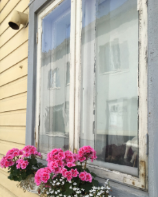 A close-up photo of an old, weathered window with peeling paint and visible signs of age. The glass is slightly foggy, adding to the rustic charm of the image