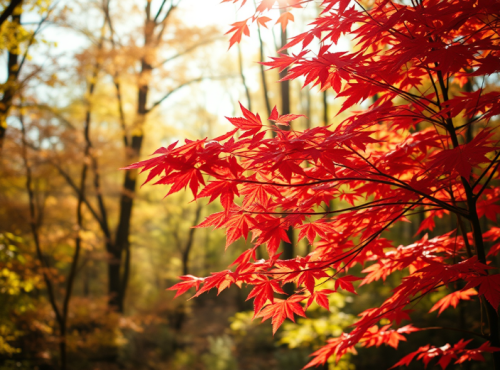 Embrace the Season with Faith and Family  “There is a time for everything, and a season for every activity under the heavens.” (Ecclesiastes 3:1)