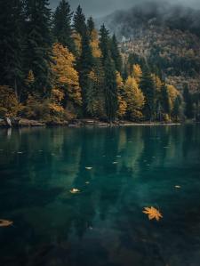 November always sneaks up on me with its quiet beauty.